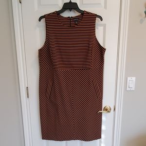 Lands End Shift Dress